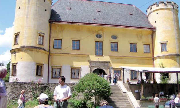 65/2017 – Vyhlášení výběrového řízení_zámek Dívčí Hrad