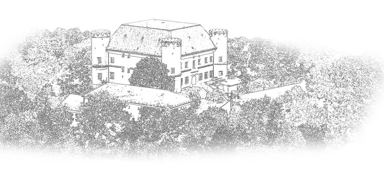 Dívčí Hrad uspořádal festival