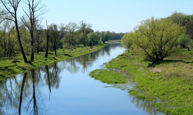14/2022 – VEŘEJNÁ VYHLÁŠKA – MINISTERSTVO ZEMĚDĚLSTVÍ