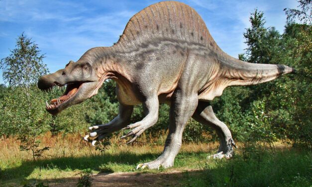 DEN DĚTÍ V DINOPARKU OSTRAVA!