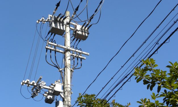 76/2023 – UPOZORNĚNÍ K ODSTRANĚNÍ A OKLEŠTĚNÍ STROMOVÍ – ČEZ DISTRIBUCE